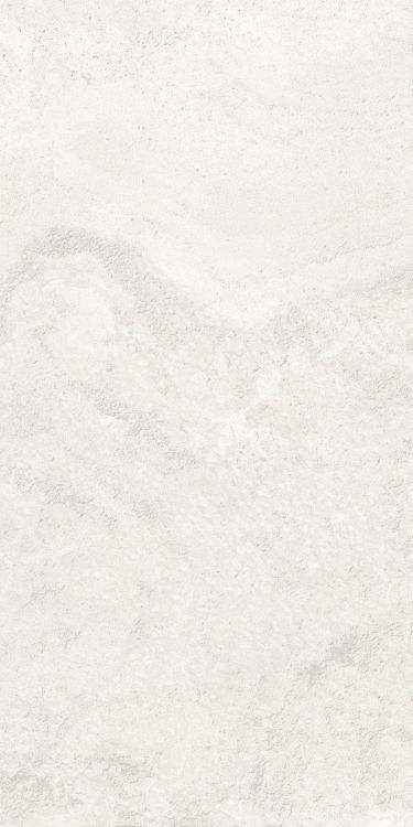 Petra Viva Bone Matte 12 x 24